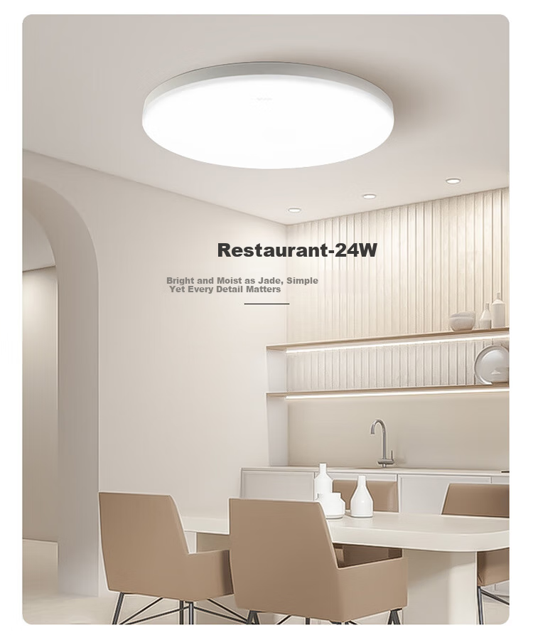 BULL Ceiling Light, IP50 Dust And Insect Resistant, for Bedroom, Balcony And Hallway, MX-A024C All White, 24W 5