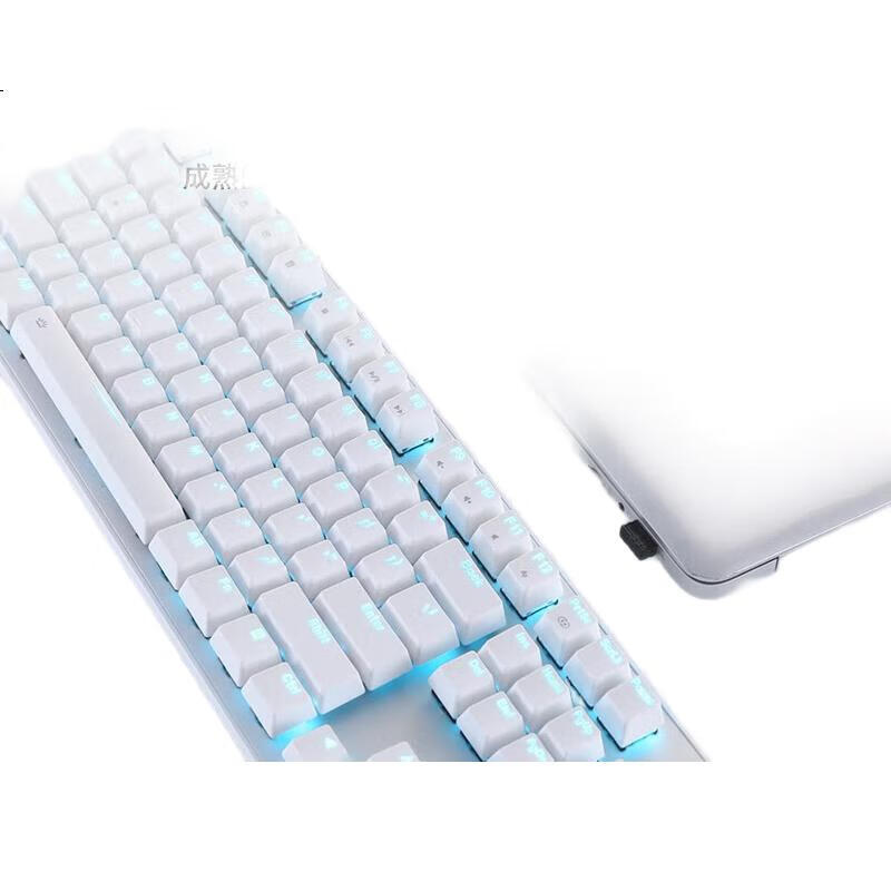 White Image 2