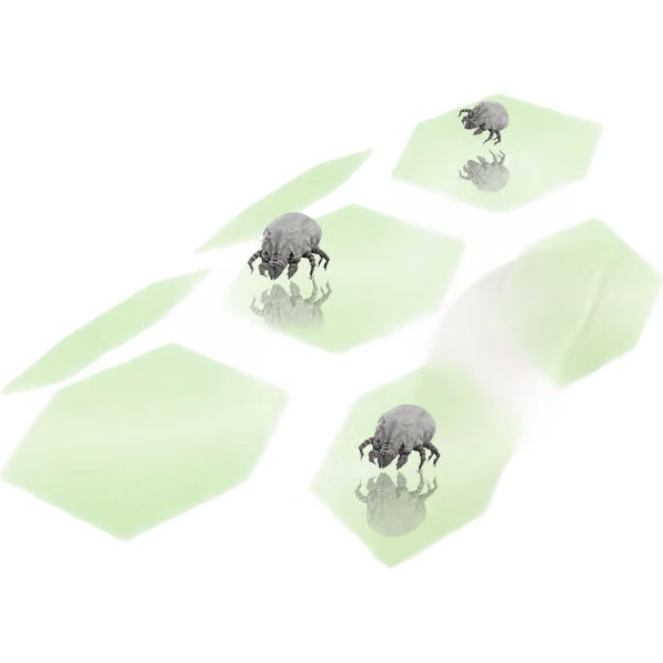 White Image 3