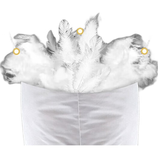 White Image 1