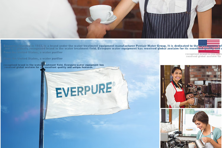 Everpure Coffee Shop/Milk Tea Shop/Chinese Restaurant Direct Drinking Filter Zero Wastewater 5.1L/min 5100L Water Production Commercial Water Purifier MC2 Triple High-End Model 14