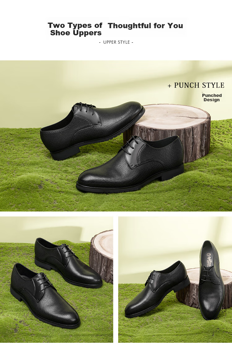 Goldlion Men's Shoes, Business Formal Wear, Wedding Shoes, Comfortable Derby Leather Shoes, 50274043201A, Black, Size 37 14