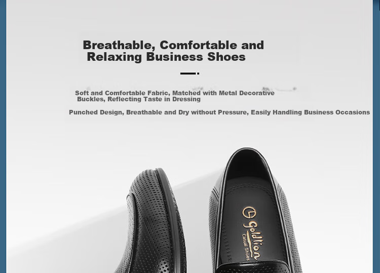 Goldlion Men's Loafers, Perforated Breathable Sandals, Business Casual Shoes G580420170AAD Black Size 41 3