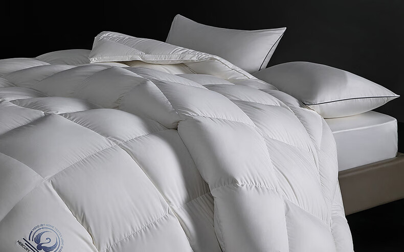 Mercury Home Textiles 95% White Goose Down Quilt Thickened Winter Double Duvet 220×240cm-1100g 28