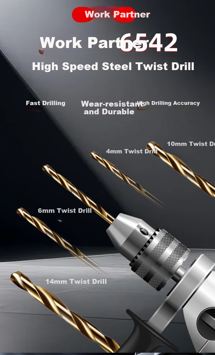 Gongpaidang 6542 High-Speed Steel Twist Drill, 10-Piece Set, 4.2mm, High Hardness, Electric Hand Drill for Stainless Steel Drilling 1