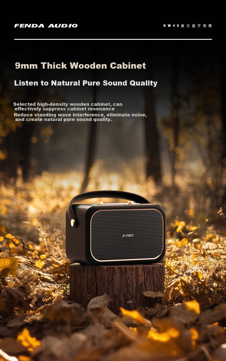 F&D RW40 Retro Karaoke Speaker, Dual Wireless Microphones, 360° Surround Sound, 20-Hour Long Battery Life, Portable Bluetooth Speaker for Outdoor And Home Use 7