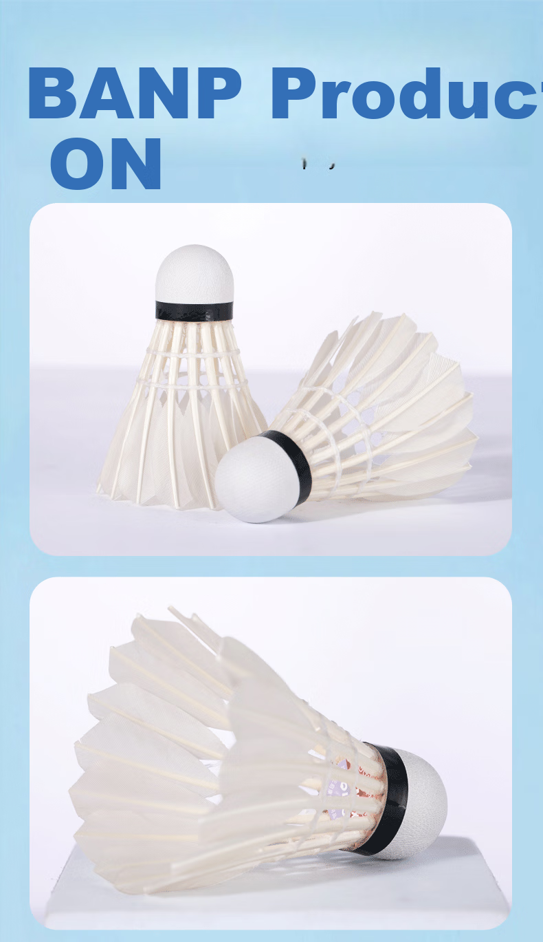 QIAO Goose Feather Badminton Training Durable Shuttlecocks AS15ew 12-Pack Tube 8