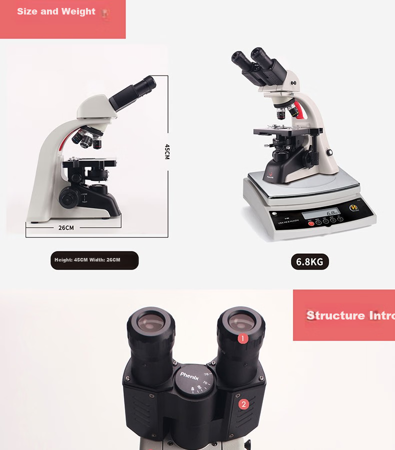 Phenix PH50-2A43L Biological Microscope, Binoculars, 1600x Magnification, Professional High Magnification, for Home And Laboratory Use, Bacterial Detectio 11