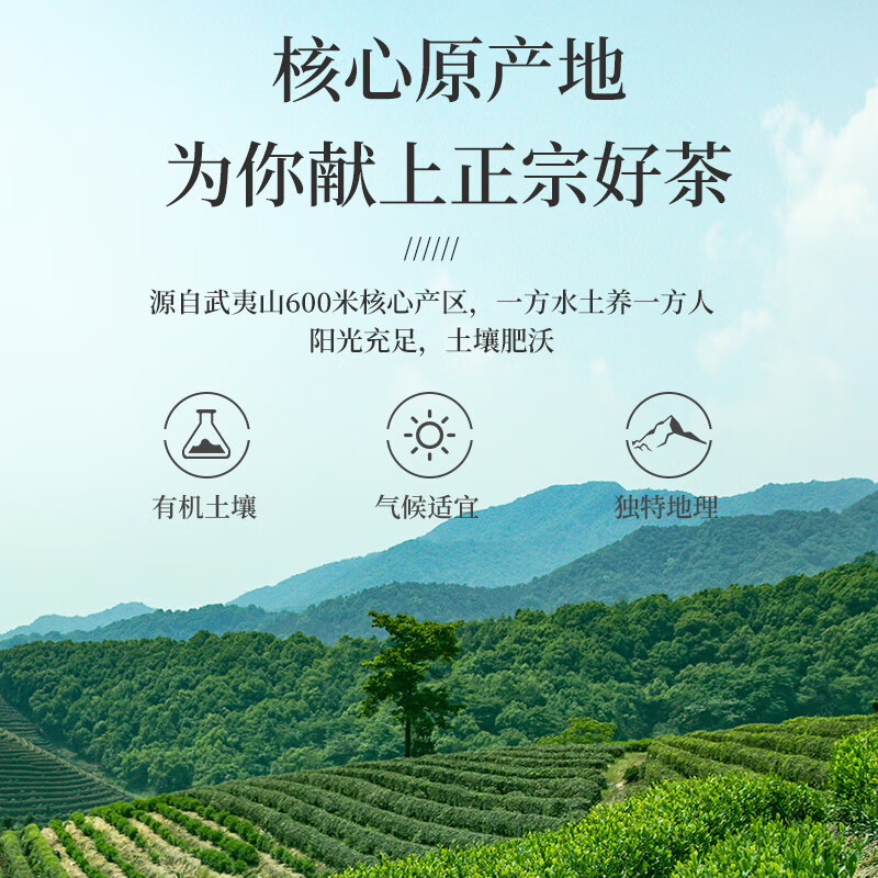 一杯香茶叶乌龙茶武夷山正岩大红袍250g礼盒装送礼自己喝茗茶散装