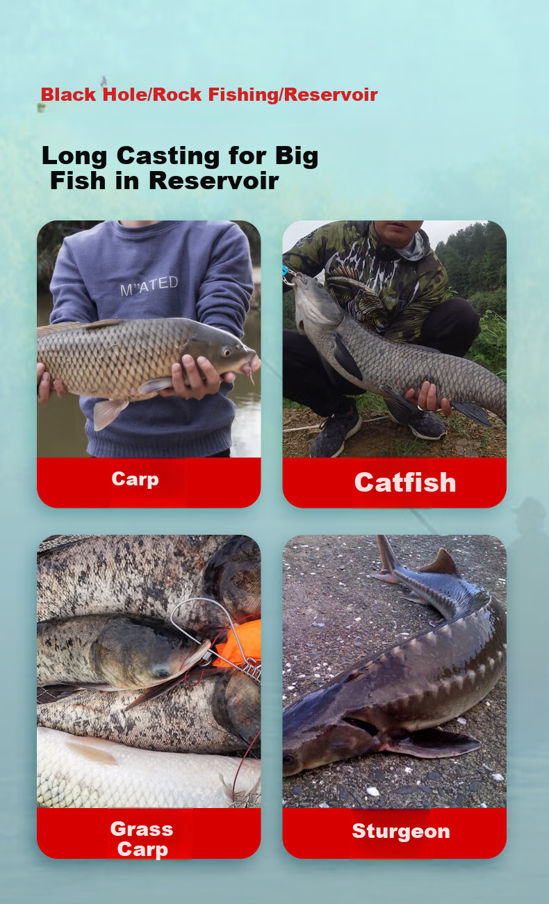 Xiaofengxian L-P04 Carp And Bighead Carp Mixed Breeding Reed Float, Highly Sensitive, Eye-Catching, Thickened Stroke, Big Fish Float, Black Pit Buoy, Fishing Tackle 10