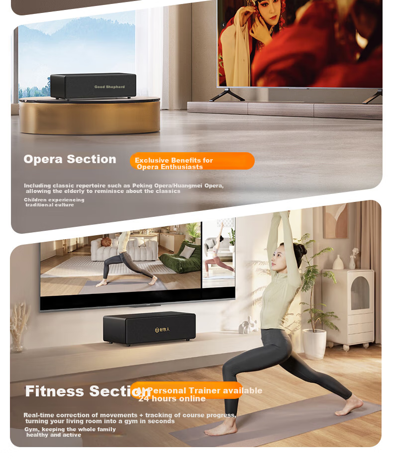 Haomuren Karaoke Sound System, Home KTV Sound Package, All-In Karaoke Machine for Singing at Home, Karaoke TV, Microphone, Karaoke Machine with Song Selection Function, Wireless Microphone, Bluetooth Speaker, Amplifier 6