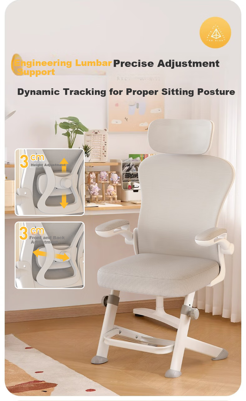 Quanpinwu Computer Chair, Study Chair, Office Chair, Ergonomic Chair, Student Chair, Lumbar Support Chair, Swivel Chair, Gaming Chair, Height Adjustable 2
