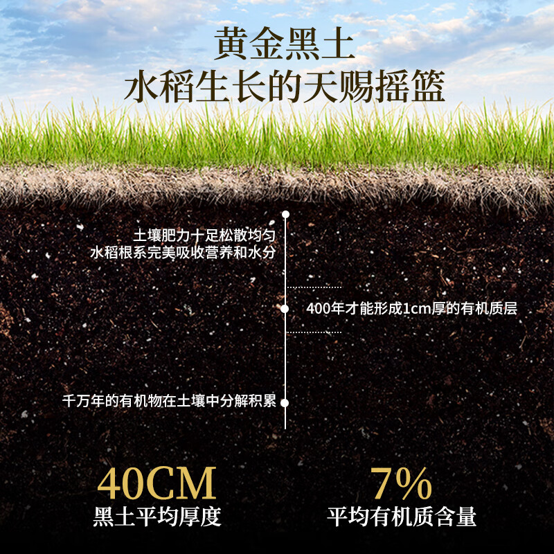 花中花 吉林御珍香米 10斤 东北大米 长粒珍珠米香米 10斤真空装