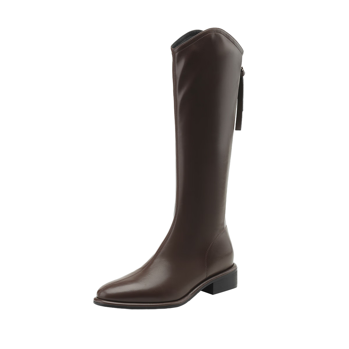DAPHNE V-Cut Women's Long Boots Winter New Pointed Toe High Shaft Riding Boots 4023605059 Brown Size 36