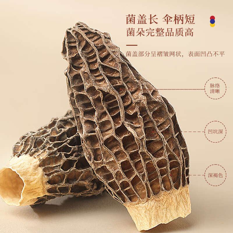 福东海羊肚菌礼盒80g 特大颗7-10cm菌菇干货煲汤火锅食材送长辈滋补礼