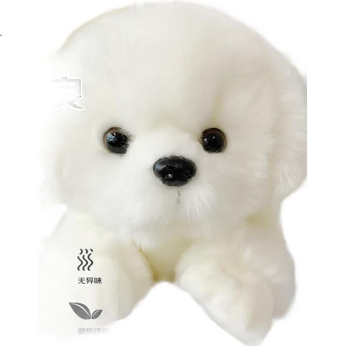 White Image 1
