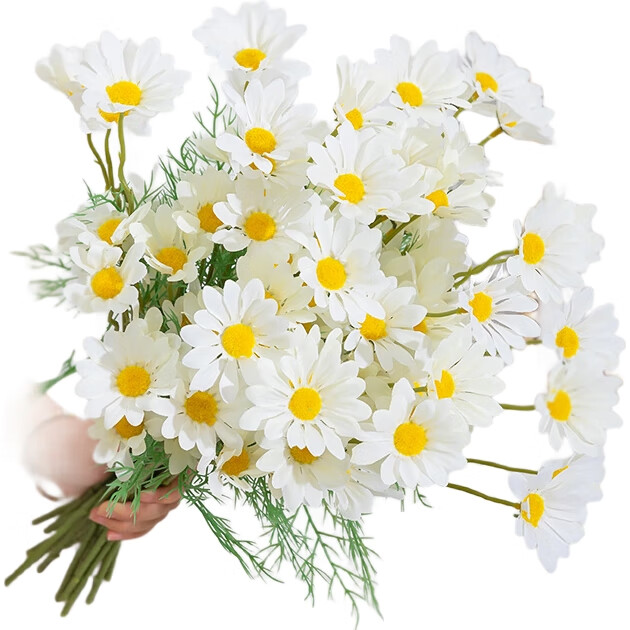 White Image 1