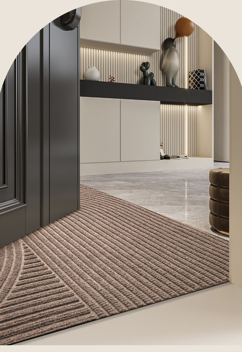 DeXi Entrance Mat, Doorway Mat, Foot Mat, 2025 New Style Doormat, Foyer Carpet, Entrance Floor Mat, 45x75cm 4