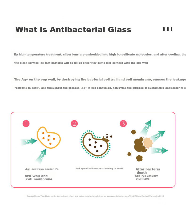 Heenoor Antibacterial Glass Cup, Double-Layer Transparent Water Cup, High-Quality Tea Infuser for Women, Mid-Autumn Festival Gift XN-1951 2