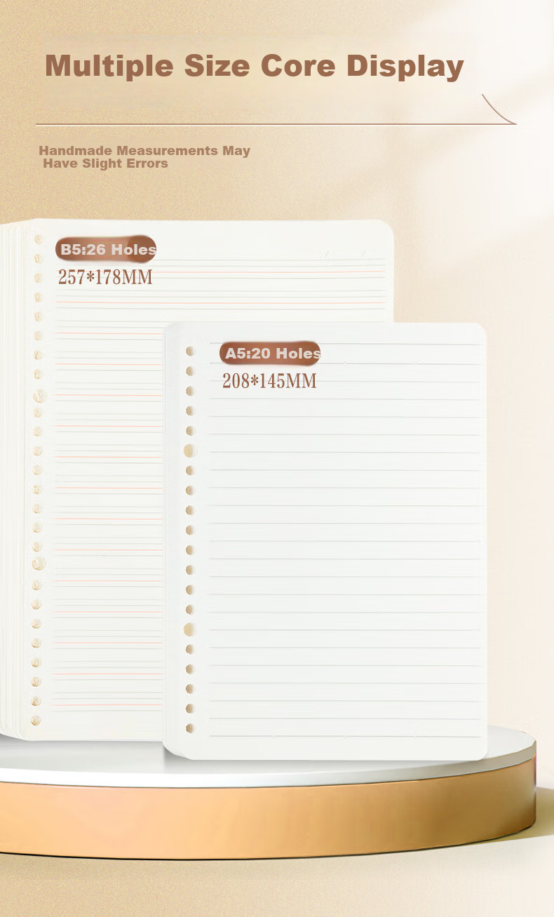 M&G Stationery B5/100 Sheets Loose-Leaf Notebook Refill Paper for Exam Preparation, Homework, Lined Pages, Single Book HB5A10A Essential for Exams 3