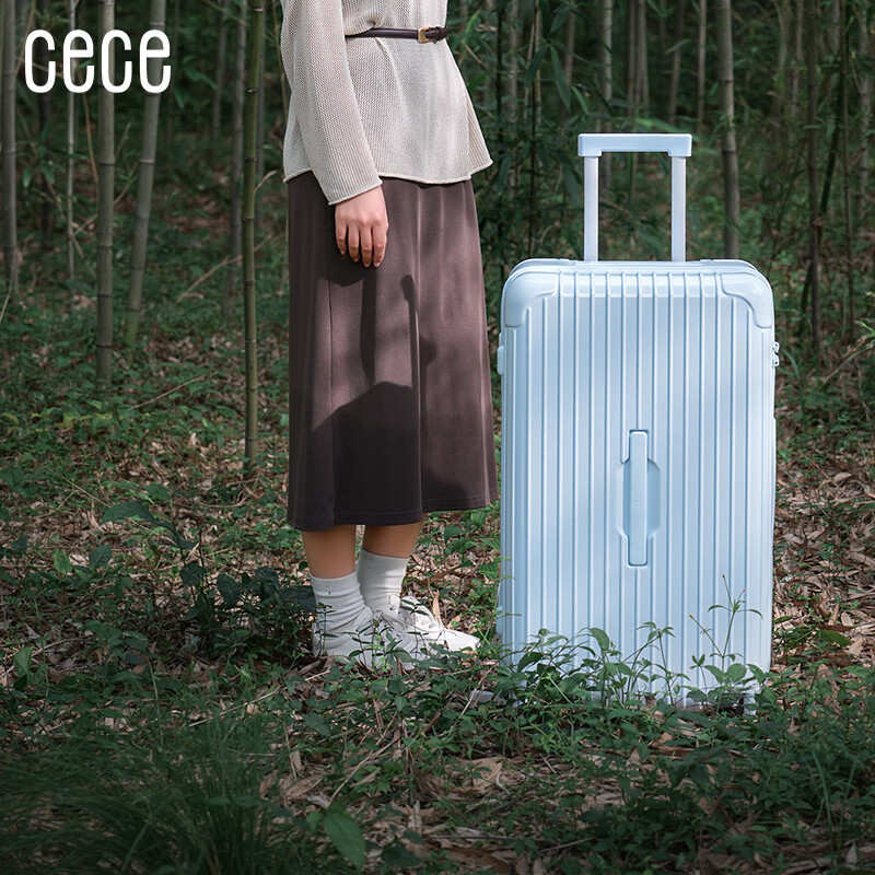 Cece Large-01234600