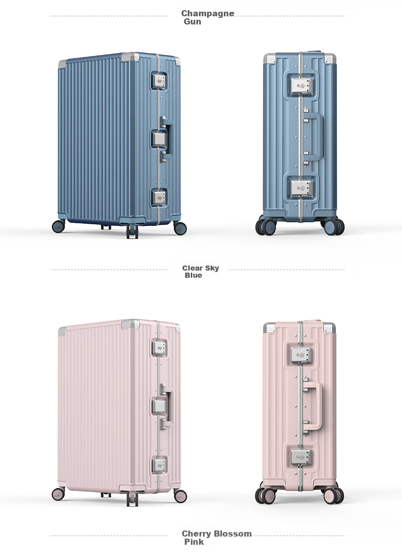 ROAMING Luggage Suitcase Large Capacity Stylish Travel Case for Men And Women with Password Lock And Leather Handle, 24-Inch Champagne Gu 18
