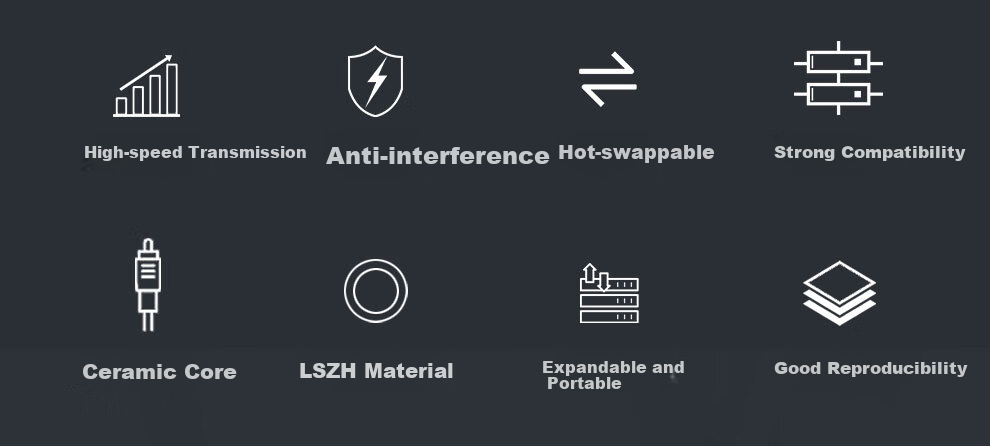 SK-LINK Armored Fiber Optic Patch Cable LC-LC Single-Mode Dual-Core Data Center Transceiver Pigtail, Tensile-Resistant, Pressure-Resistant, Rodent-Proof, Low Smoke Zero Halogen Fiber Optic Cable 1 Meter SK-TXSM 2