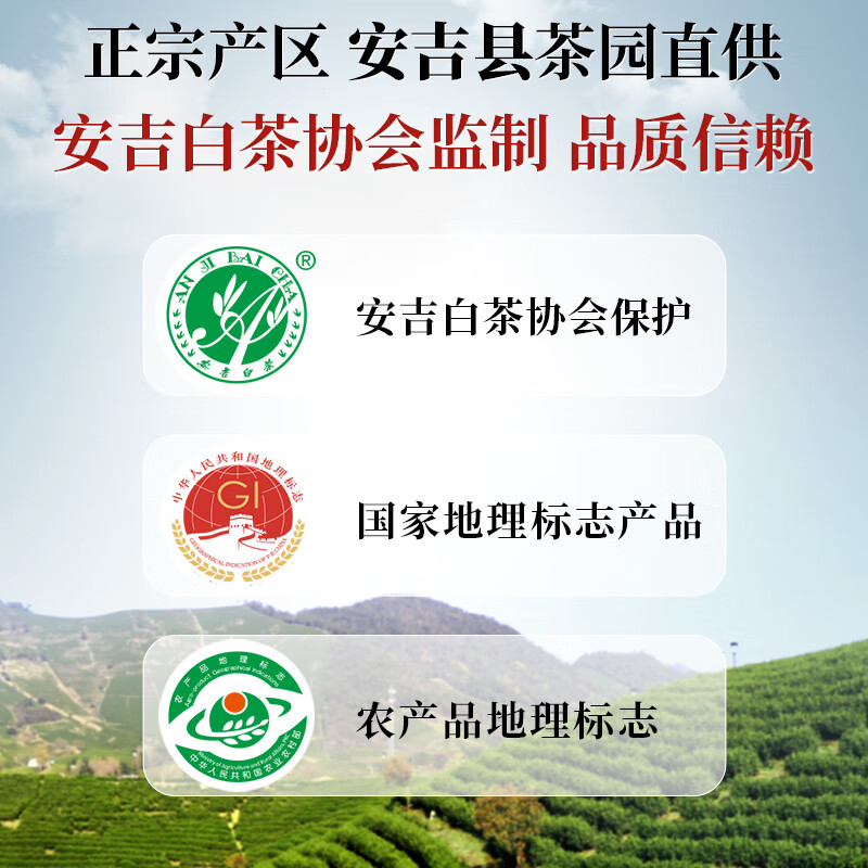 一杯香茶叶绿茶明前头采安吉白茶200g新茶礼盒装高端送礼送领导长辈