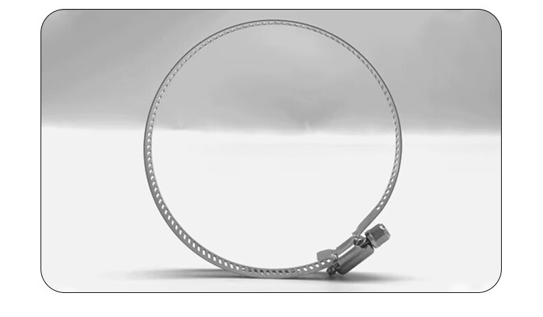 Minhongshi Surveillance Clamp Bracket, Full Steel Clamp, Electrical Pole Clamp Pipe, 304 Stainless Steel Hose Clamp, Stainless Steel Clamp Ring 200MM 7