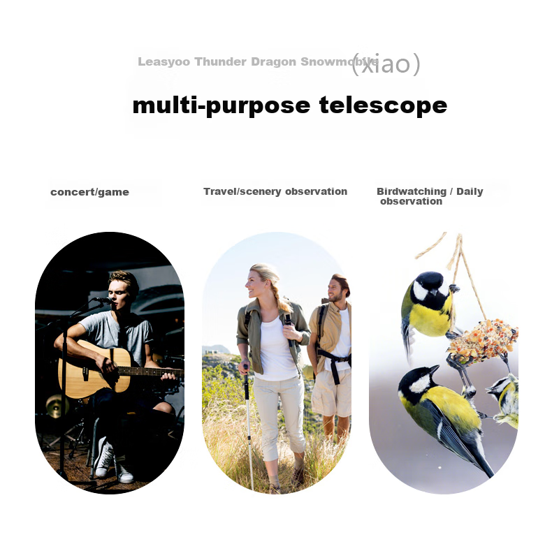 Leaysoo Snow Owl 10X42 Adult High-Definition High-Magnification Outdoor Binoculars for Concert Viewing, Professional Observation, And Smartphone Use 10