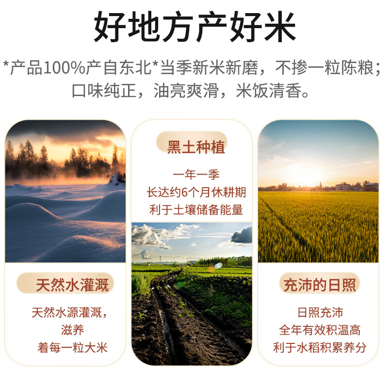 七河源圆粒粳米50斤 珍珠米大米25kg 餐饮团购 2025新米 年货节春节送礼