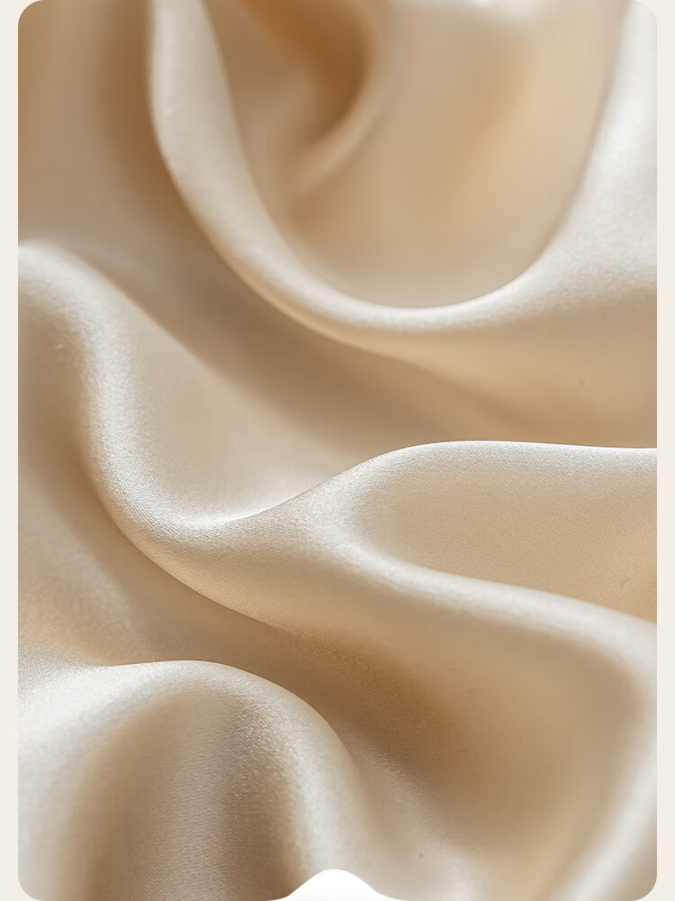 JD Jingzao Silk Pillowcase 6A Grade Mulberry Silk Solid Color 48x74cm Single Champagne Gold 6