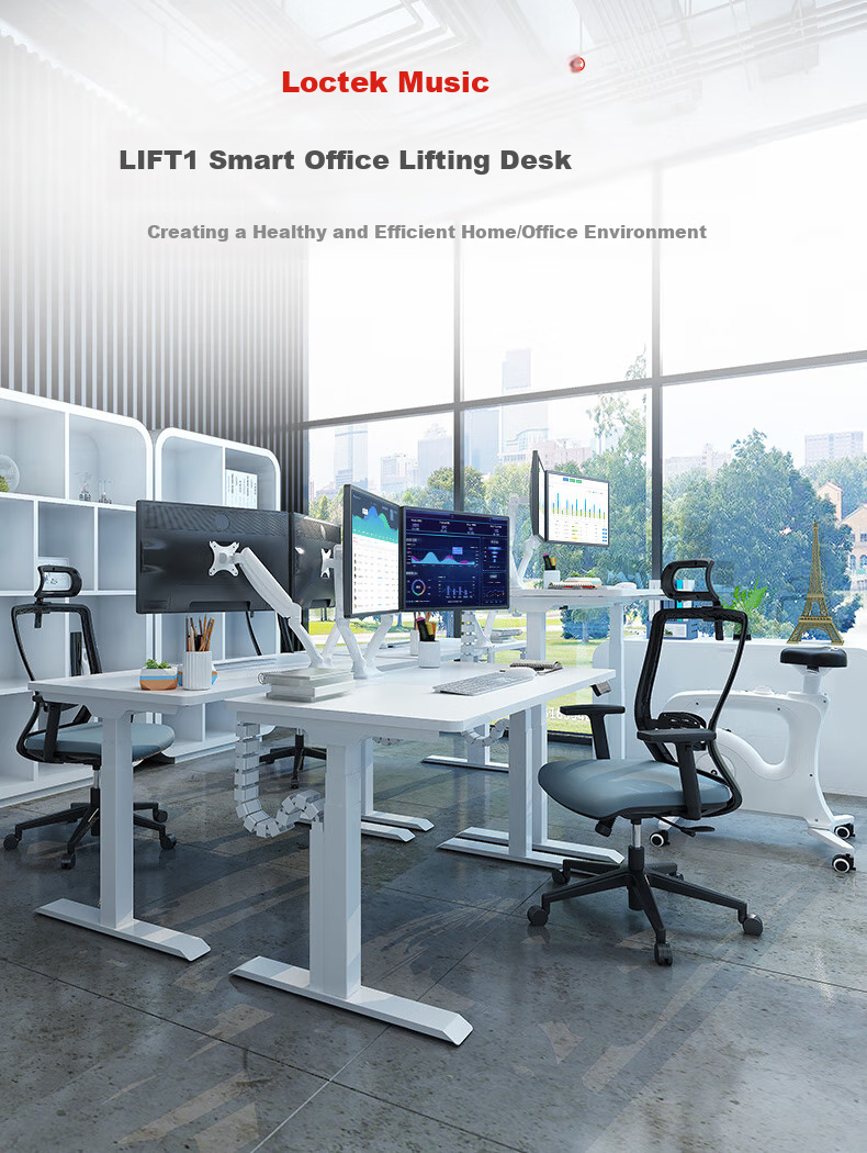 Loctek Height Adjustable Desk, Computer Desk, Gaming Standing Desk, Office Study Desk E5-N Gray Wood Grain Color 1.4M 1
