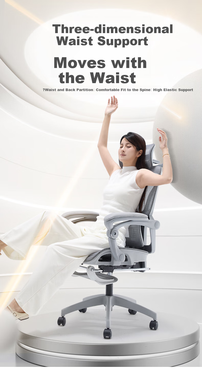LIANFENG E-65 Ergonomic Chair, Computer Chair, Home Office Chair, Comfortable for Long Sitting, Gaming Chair, Study Room Chair 1