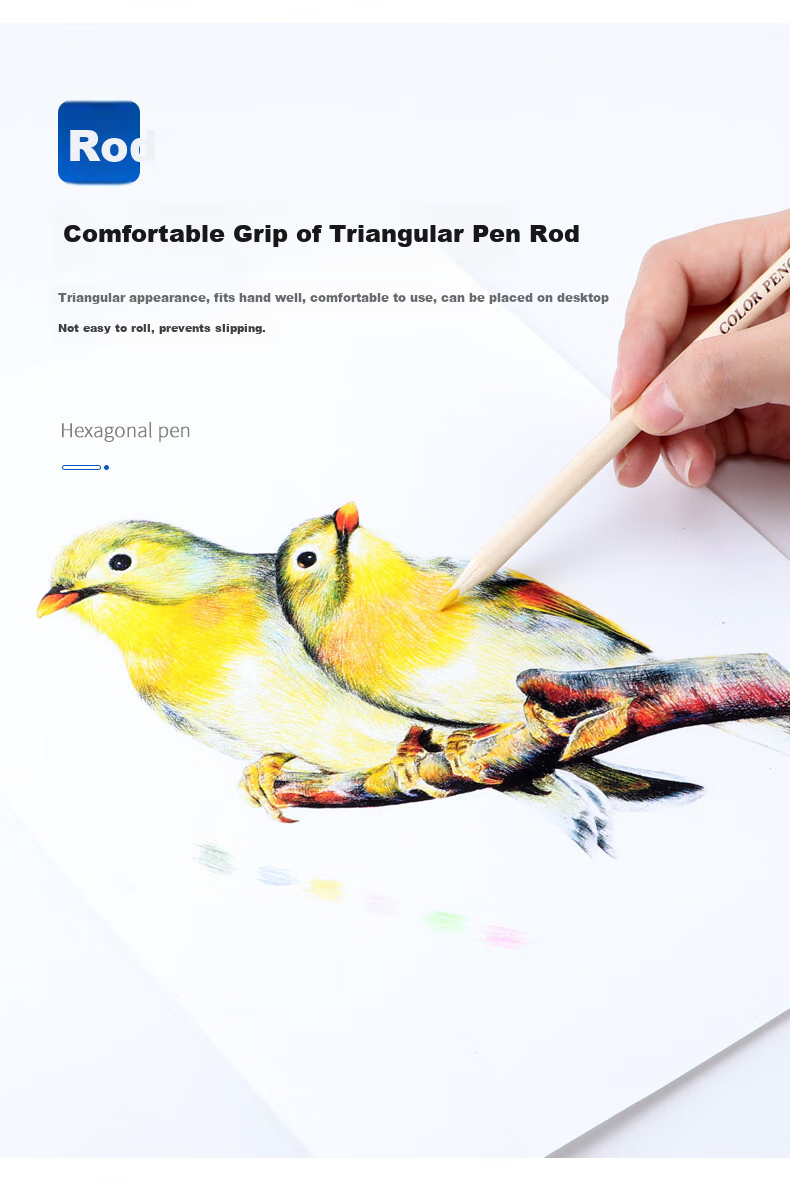 BAOKE PO1624 Wood Oil-Based 24-Color Triangular Barrel Colored Pencils, Coloring Pencils, Drawing Pencils, Paper Tube Packaging, Drawing Tools, Children's Layered Natural Student Pencils 3