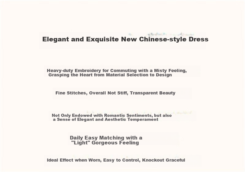 Dme [Elegant A-Line Embroidered Dress] Summer Commuter Stand-Collar Button-Up Midi Dress for Wome 1