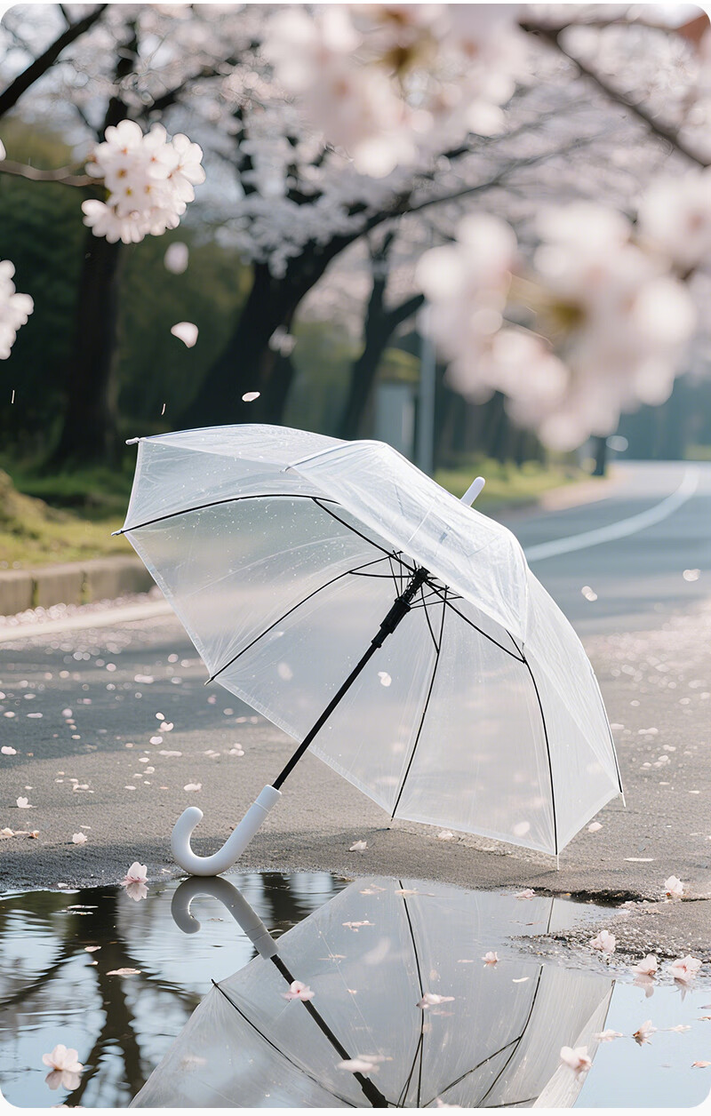 YUHANG Long-Handle Automatic Umbrella, Sold by JD, Transparent Umbrella 20