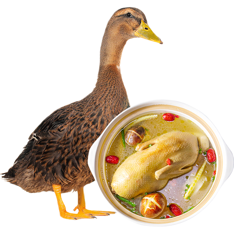 华英（HUAYING）赣南散养生态麻鸭净重2.5斤/袋冷冻整鸭新鲜土鸭煲汤红烧食材