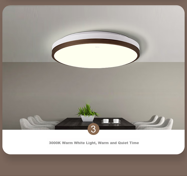BULL Ceiling Light, Langchen Full Spectrum Bedroom Light, MX-C048A Stepless Dimming, 48W, Ra97 Color Rendering Index, with Display Indicator, Installation Included 10