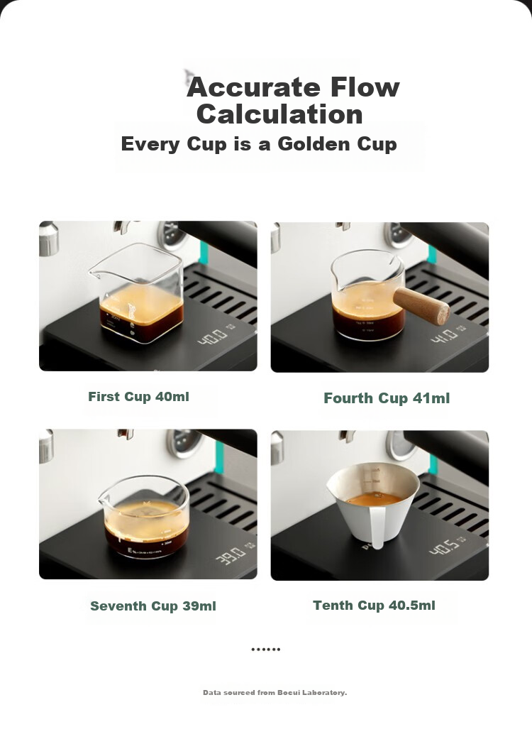 Petrus Coffee Machine, Italian Espresso Machine, Fully And Semi-Automatic, for Home And Commercial Use, Steam Milk Frother, Liuxia Max PE3922Max 6