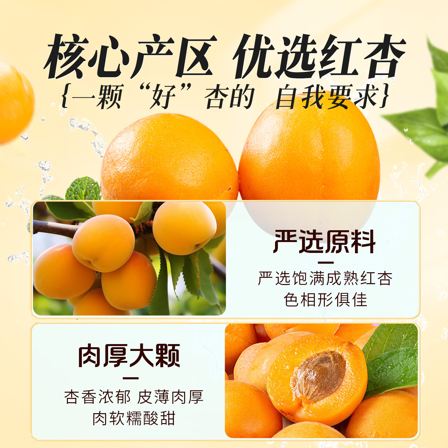 百草味红杏干100g/袋 蜜饯果干办公室零食休闲食品果脯零嘴小吃烘焙