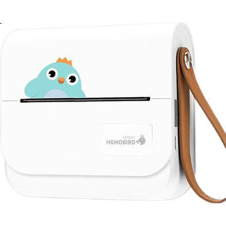 Портативный принтер MEMOBIRD GS5E для печати домашних заданий, карманный органайзер для самостоятельной печати