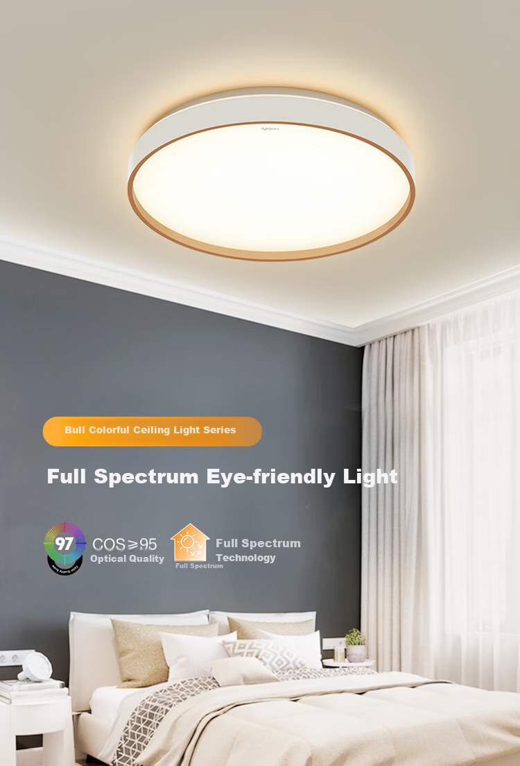 BULL Ceiling Light, Full Spectrum Bedroom Lamp with Three-Level Dimming, 24W, Ra97 Color Rendering Index [Installation Included] 1