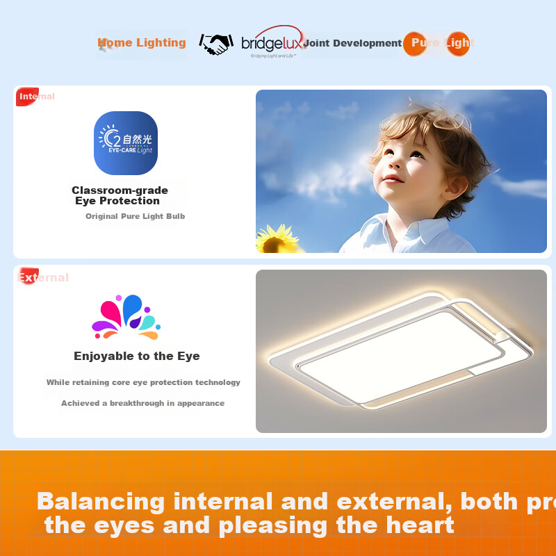 GUJIA LED Ceiling Light, Eye-Protecting Puri Light Source, Nordic Living Room Lighting Fixture, Three-Bedroom Two-Living Room Package [Installation Included]