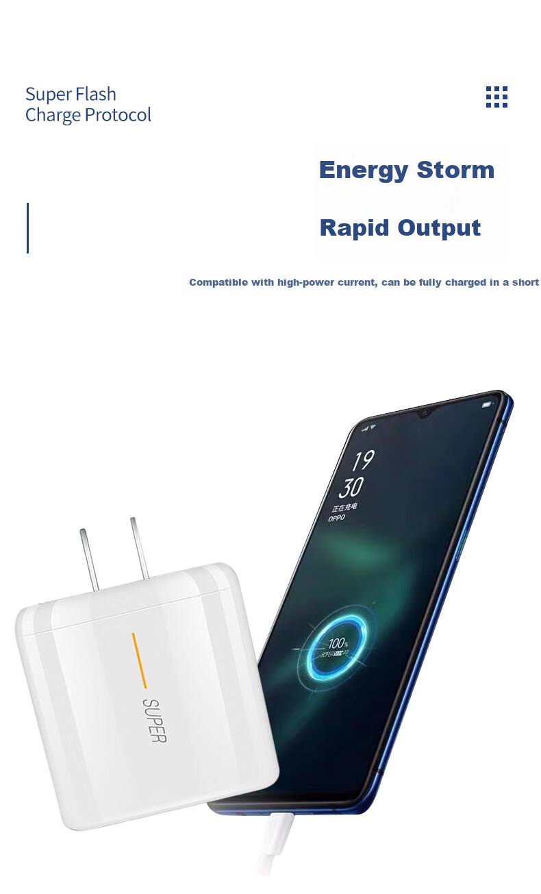 Trendsetter Compatible with DJI Charger Head, 30W Fast Charging, for Action6/5pro/4/3/Pocket4/3/2 Action Cameras, Dual-Head Type-C Charging Cable And Plug Set 4