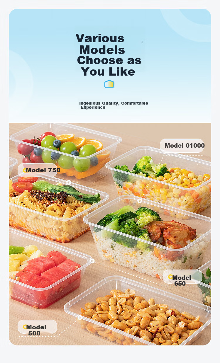 Temeiju Disposable Food Containers, Sugarcane Pulp Paper, Biodegradable Eco-Friendly Takeout Boxes, 450 Model, 50 Sets with Lids 10