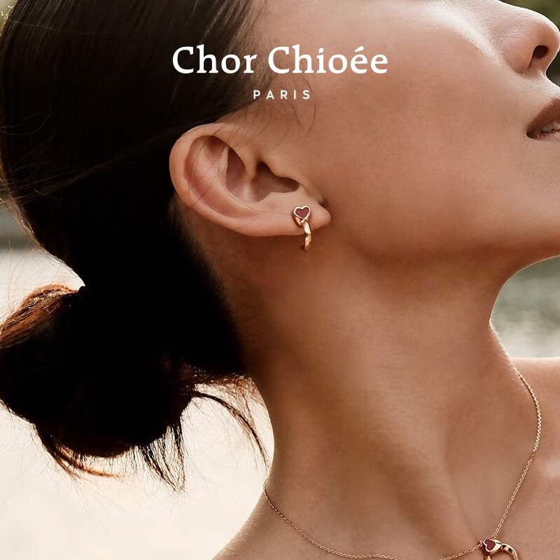 Dukou Rose Earrings for Women, Elegant And Luxurious, Fashionable Niche Studs, Practical Birthday Gift for Girlfriend Or Wife