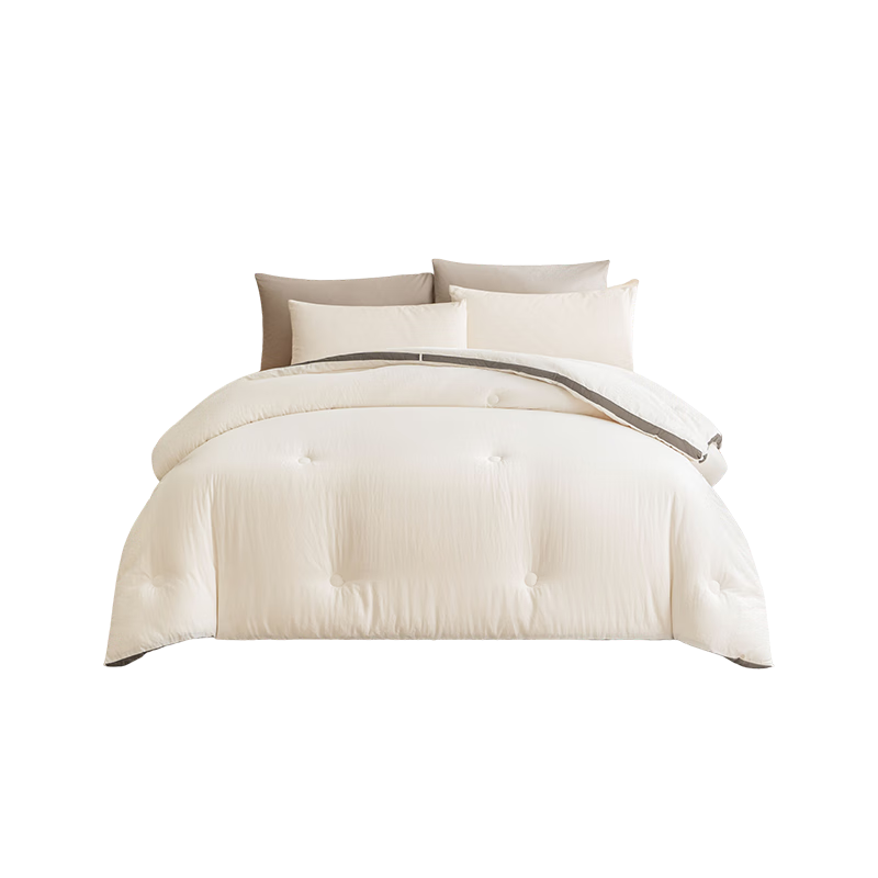 JD Jingzao Thick Cotton Quilt Xinjiang Cotton Thickened Pure Cotton Air Conditioning Quilt Core Spring and Autumn Quilt 4.64 Jin 2x2.3m