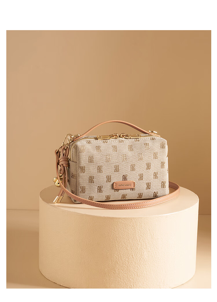 Aokang Women's Handbag, Trendy Phone Bag, Crossbody Shoulder Bag, Light Luxury Small Square Bag, Birthday Mother's Day Gift for Girlfriend Or Wife 2
