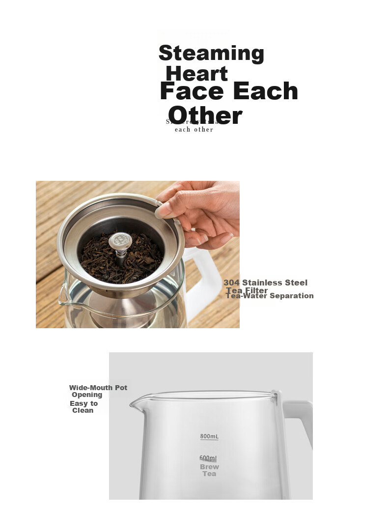 LIFE ELEMENT Health Pot Mini Tea Maker Electric Kettle for Brewing Tea, Decoction, Medicinal Herbs, Water Boiling, Smart Health Cup 0.6L I13-H02 13